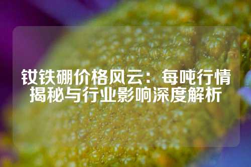 钕铁硼价格风云：每吨行情揭秘与行业影响深度解析