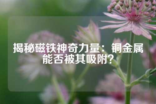 揭秘磁铁神奇力量：铜金属能否被其吸附？