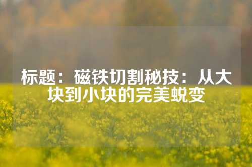 标题：磁铁切割秘技：从大块到小块的完美蜕变