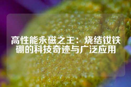 高性能永磁之王：烧结钕铁硼的科技奇迹与广泛应用