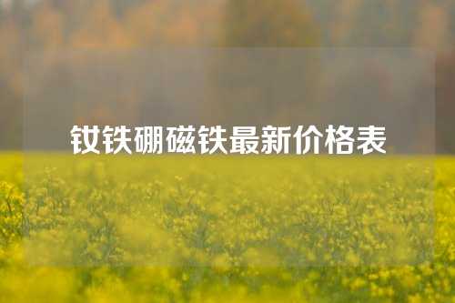 钕铁硼磁铁最新价格表