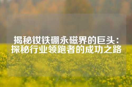 揭秘钕铁硼永磁界的巨头：探秘行业领跑者的成功之路