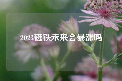 2023磁铁未来会暴涨吗