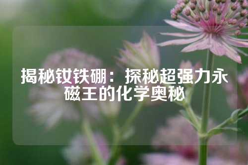 揭秘钕铁硼：探秘超强力永磁王的化学奥秘