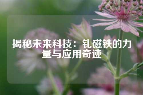 揭秘未来科技：钆磁铁的力量与应用奇迹