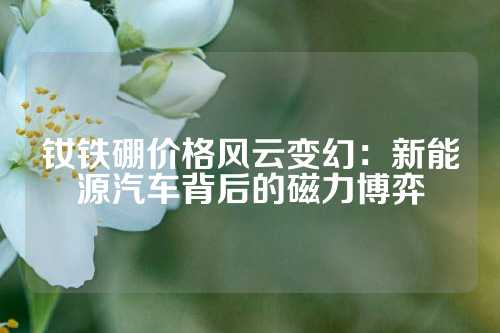 钕铁硼价格风云变幻：新能源汽车背后的磁力博弈