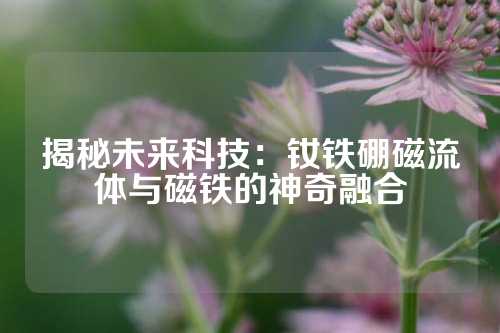 揭秘未来科技：钕铁硼磁流体与磁铁的神奇融合