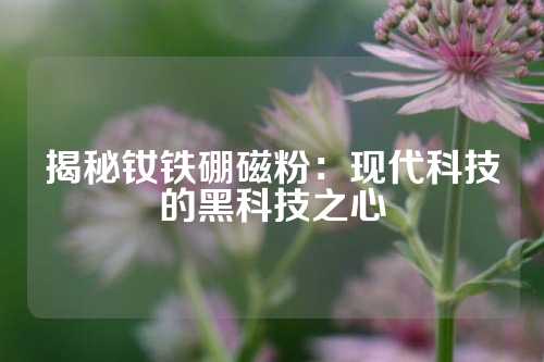 揭秘钕铁硼磁粉：现代科技的黑科技之心