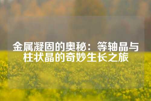 金属凝固的奥秘：等轴晶与柱状晶的奇妙生长之旅