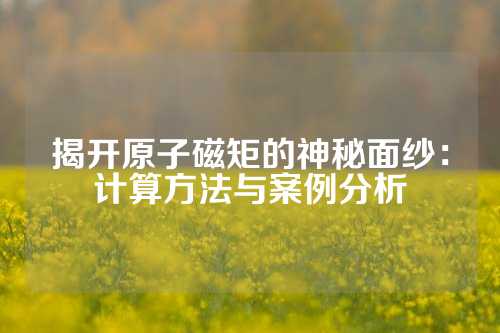 揭开原子磁矩的神秘面纱：计算方法与案例分析