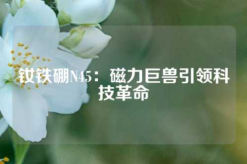 钕铁硼N45：磁力巨兽引领科技革命