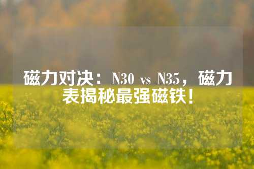 磁力对决：N30 vs N35，磁力表揭秘最强磁铁！