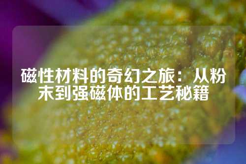 磁性材料的奇幻之旅：从粉末到强磁体的工艺秘籍