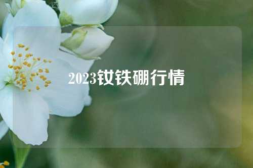 2023钕铁硼行情