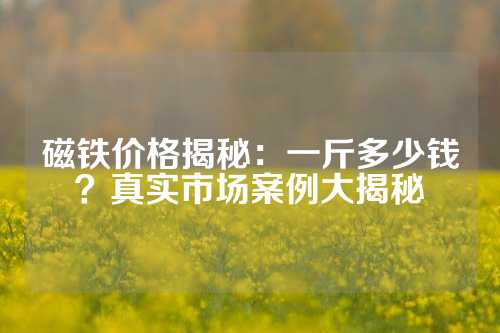 磁铁价格揭秘：一斤多少钱？真实市场案例大揭秘