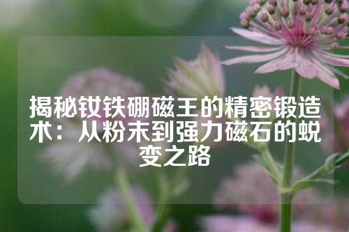 揭秘钕铁硼磁王的精密锻造术：从粉末到强力磁石的蜕变之路