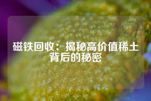 磁铁回收：揭秘高价值稀土背后的秘密