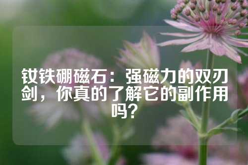 钕铁硼磁石：强磁力的双刃剑，你真的了解它的副作用吗？