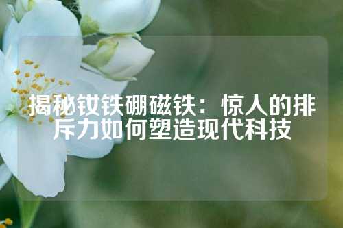 揭秘钕铁硼磁铁：惊人的排斥力如何塑造现代科技