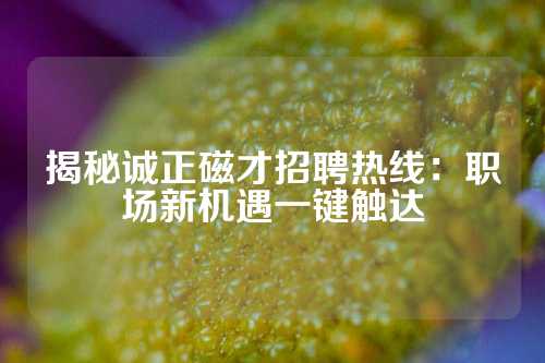 揭秘诚正磁才招聘热线：职场新机遇一键触达