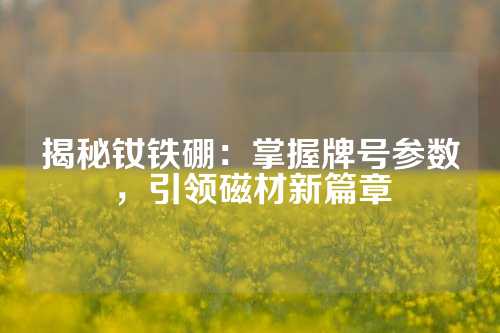 揭秘钕铁硼：掌握牌号参数，引领磁材新篇章