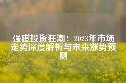 强磁投资狂潮：2023年市场走势深度解析与未来涨势预测