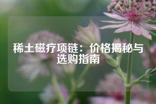 稀土磁疗项链：价格揭秘与选购指南