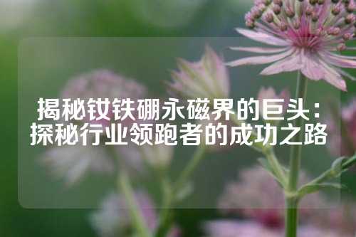 揭秘钕铁硼永磁界的巨头：探秘行业领跑者的成功之路