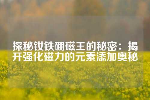 探秘钕铁硼磁王的秘密：揭开强化磁力的元素添加奥秘